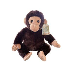 Aurora World Destination Nation